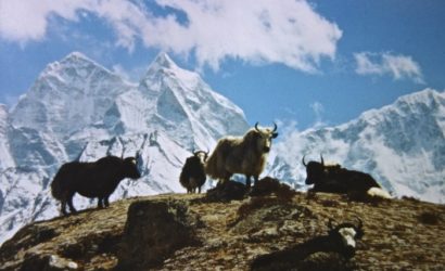 Sagarmatha 03