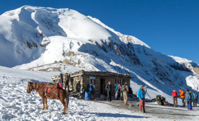 Tourists and horse at Thorong La pass tea house